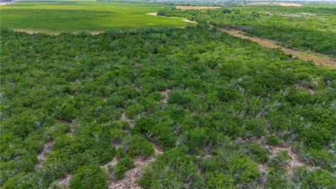 00 Fm 534 & N Fm 738 Orange Grove TX 78372