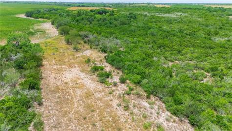 00 Fm 534 & N Fm 738 Orange Grove TX 78372