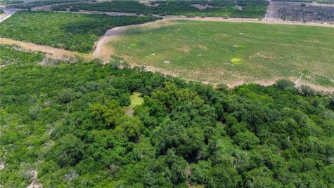 00 Fm 534 & N Fm 738 Orange Grove TX 78372