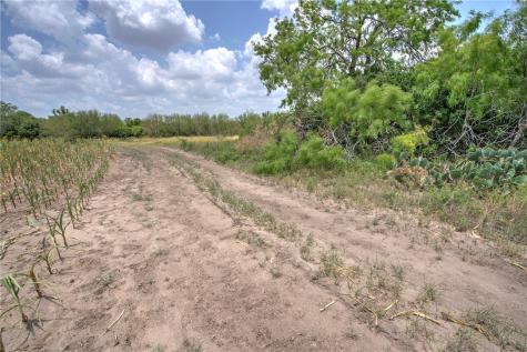 00 Fm 534 & N Fm 738 Orange Grove TX 78372