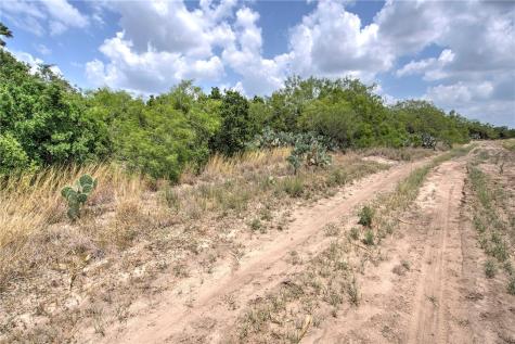 00 Fm 534 & N Fm 738 Orange Grove TX 78372