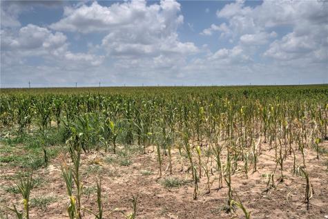 00 Fm 534 & N Fm 738 Orange Grove TX 78372