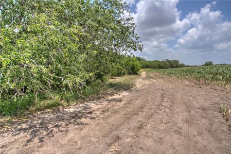 00 Fm 534 & N Fm 738 Orange Grove TX 78372
