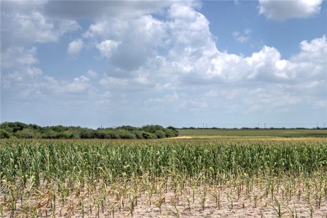 00 Fm 534 & N Fm 738 Orange Grove TX 78372