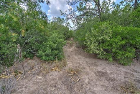00 Fm 534 & N Fm 738 Orange Grove TX 78372