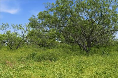 3124 County Road 220 Alice TX 78332