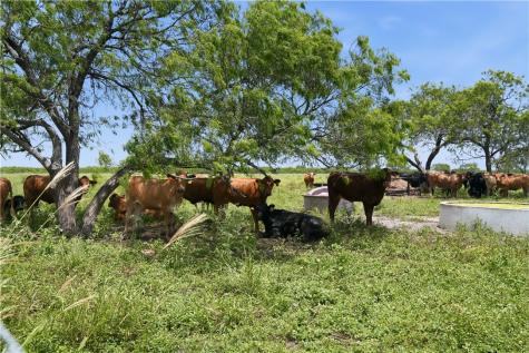 3124 County Road 220 Alice TX 78332