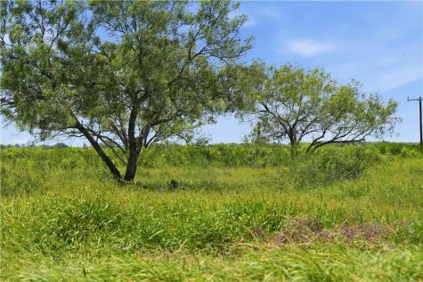 3124 County Road 220 Alice TX 78332