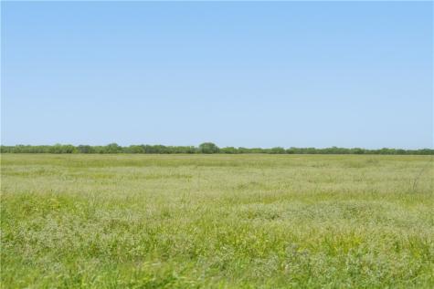 3124 County Road 220 Alice TX 78332