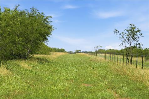 3124 County Road 220 Alice TX 78332