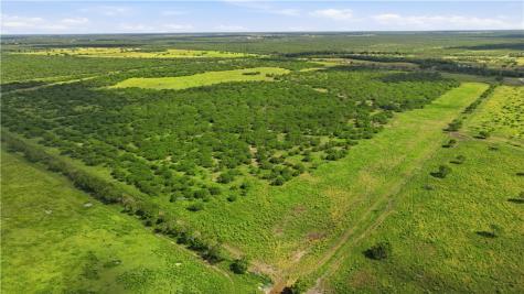 3124 County Road 220 Alice TX 78332