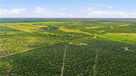 3124 County Road 220 Alice TX 78332