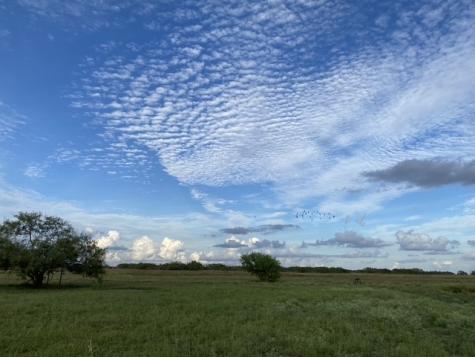 3124 County Road 220 Alice TX 78332