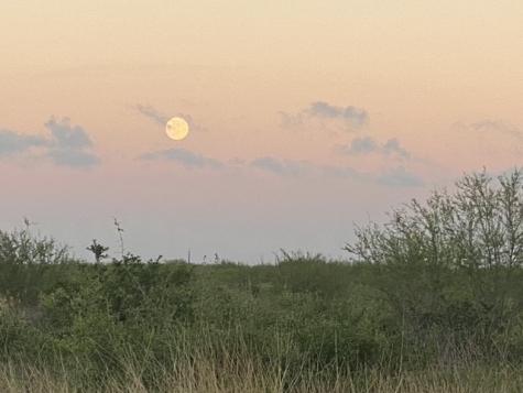 3124 County Road 220 Alice TX 78332