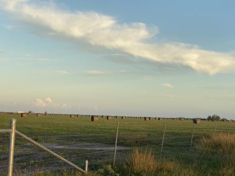 3124 County Road 220 Alice TX 78332