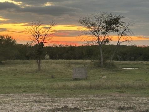 3124 County Road 220 Alice TX 78332