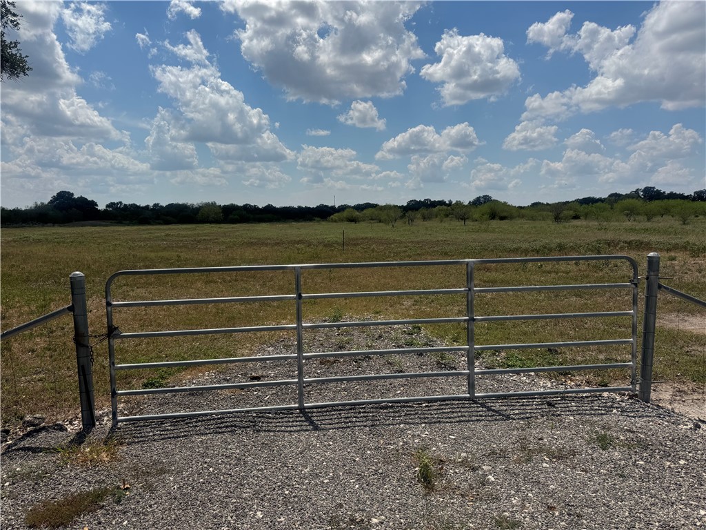0 Cr 631 Skidmore TX 78389