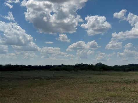 0 Cr 631 Skidmore TX 78389