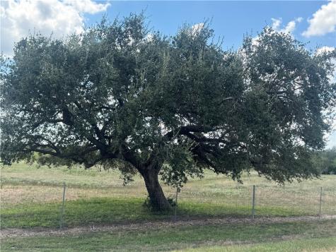 0 Cr 631 Skidmore TX 78389