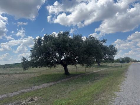 0 Cr 631 Skidmore TX 78389