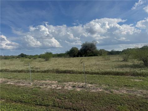 0 Cr 631 Skidmore TX 78389