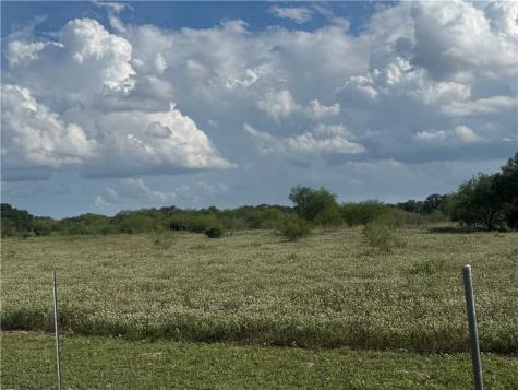 0 Cr 631 Skidmore TX 78389