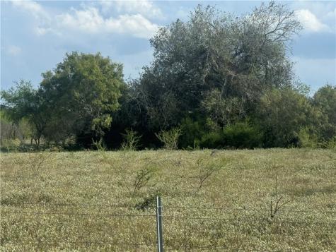 0 Cr 631 Skidmore TX 78389