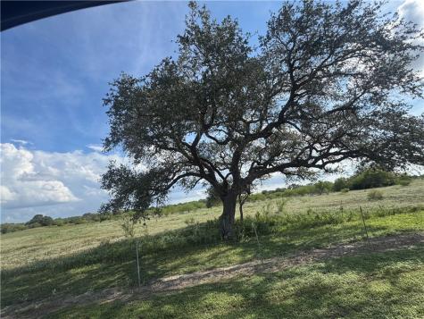 0 Cr 631 Skidmore TX 78389
