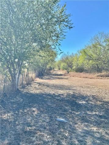 4204 County Road 308 Orange Grove TX 78372
