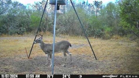 4204 County Road 308 Orange Grove TX 78372