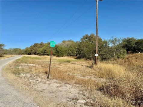 4204 County Road 308 Orange Grove TX 78372