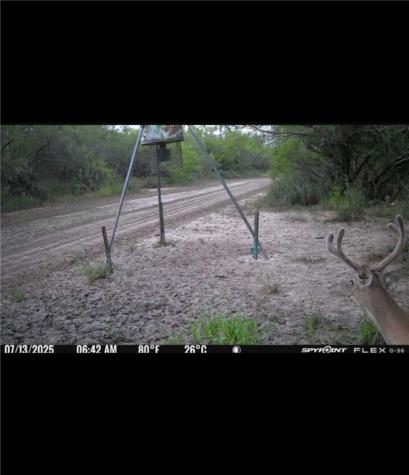 4204 County Road 308 Orange Grove TX 78372
