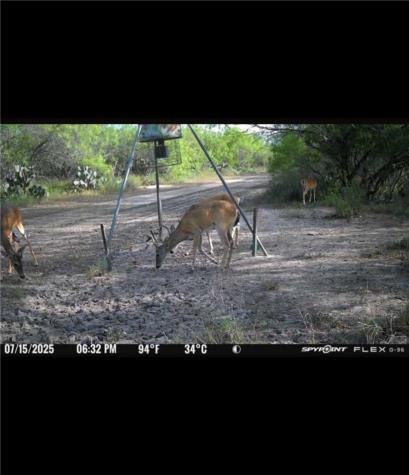 4204 County Road 308 Orange Grove TX 78372