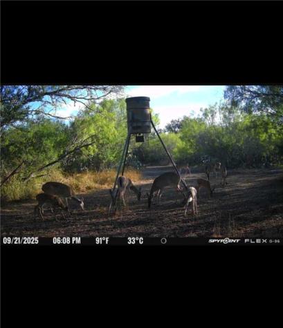 4204 County Road 308 Orange Grove TX 78372