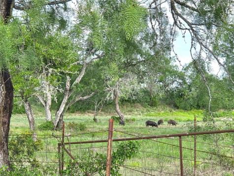 3073 Bravo 6 San Diego TX 78384