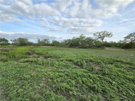 3073 Bravo 6 San Diego TX 78384