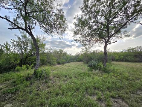 3073 Bravo 6 San Diego TX 78384