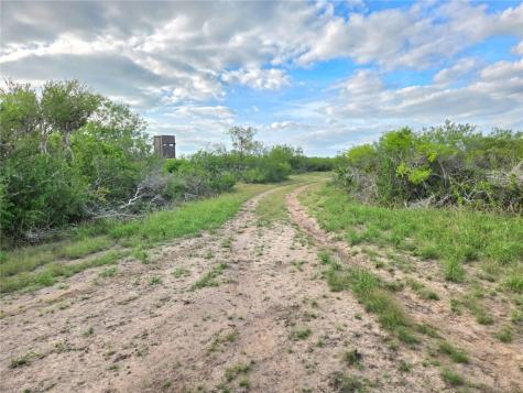 3073 Bravo 6 San Diego TX 78384