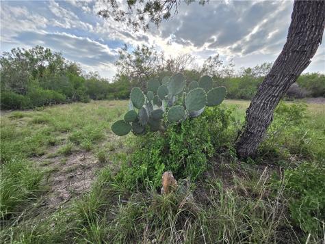 3073 Bravo 6 San Diego TX 78384