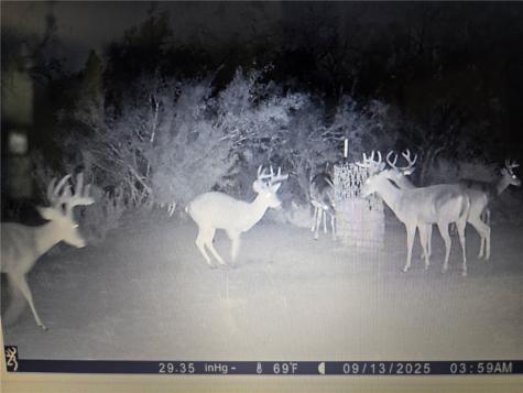 3073 Bravo 6 San Diego TX 78384