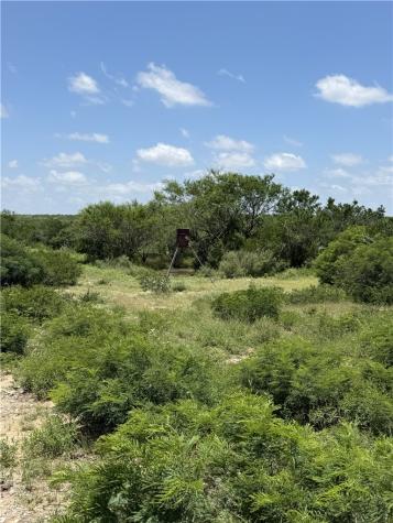 2346 Frontier Road 1 San Diego TX 78384