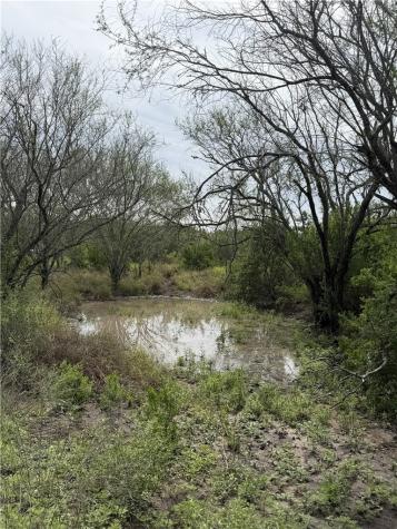 2346 Frontier Road 1 San Diego TX 78384