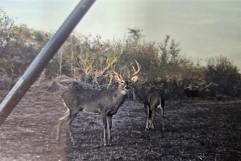 2346 Frontier Road 1 San Diego TX 78384