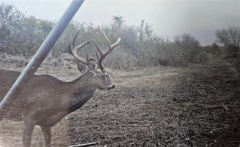 2346 Frontier Road 1 San Diego TX 78384