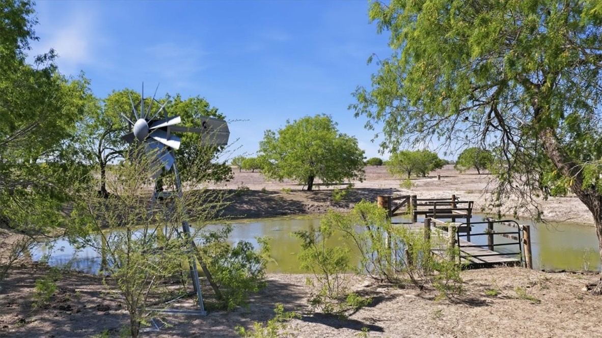 279 County Road 302 George West TX 78022