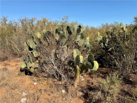 0 County Road 203 San Diego TX 78344
