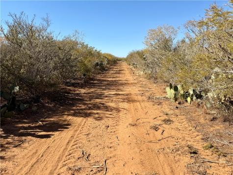 0 County Road 203 San Diego TX 78344