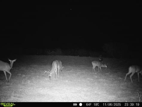 0 County Road 203 San Diego TX 78344