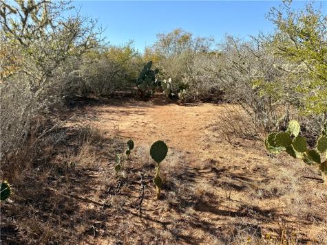 0 County Road 203 San Diego TX 78344