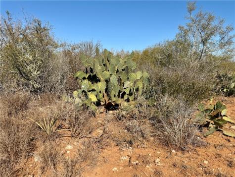 0 County Road 203 San Diego TX 78344